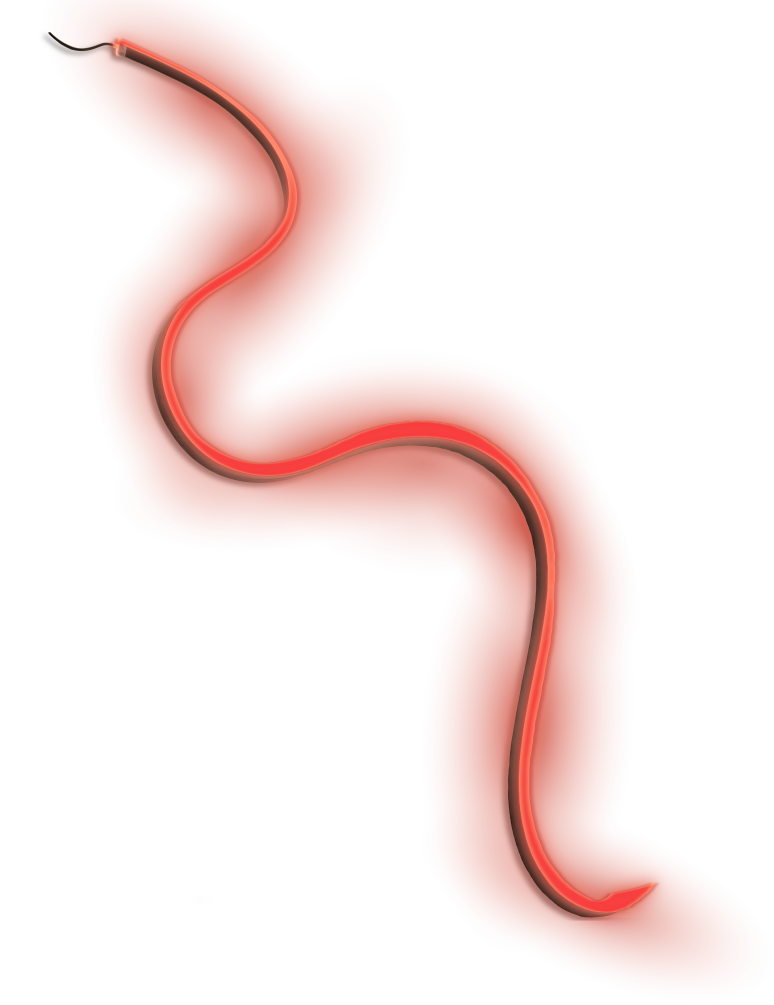 Cozze Element LED-Lichtleiste 3 m, inkl. Fernbedienung, 3 Farben, 24 V 90262