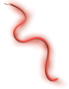 Cozze Element LED-Lichtleiste 5 m, inkl. Fernbedienung, 3 Farben, 24 V