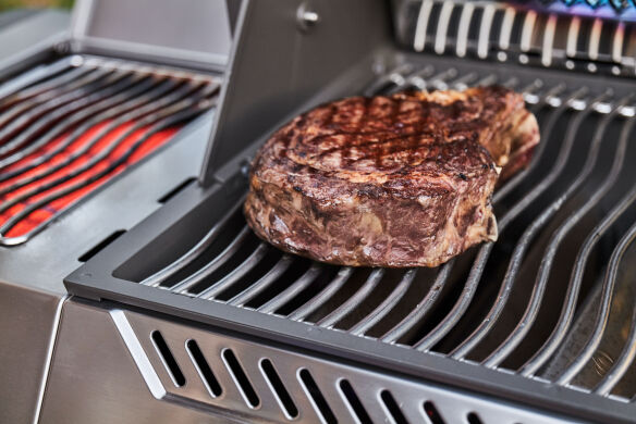 Napoleon Prestige 500 Edelstahl Gasgrill - mit SIZZLE ZONE und Heckbrenner